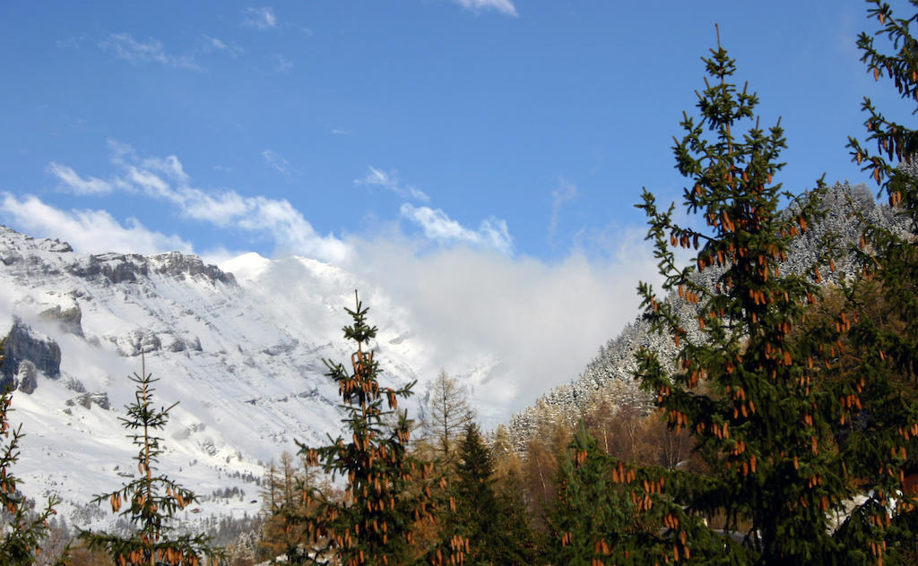Alfa Appartements Superior Leukerbad Oda fotoğraf